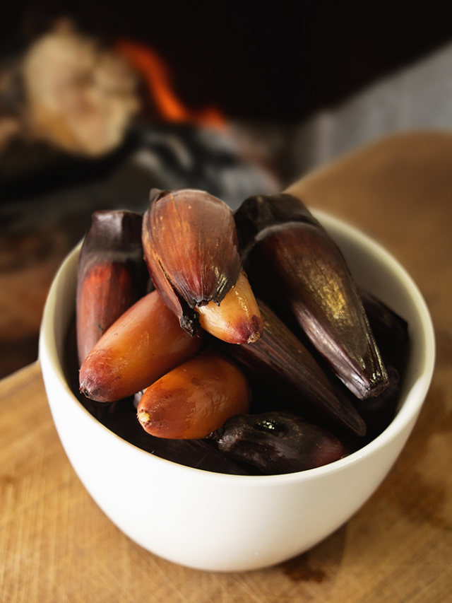 receitas com pinhão