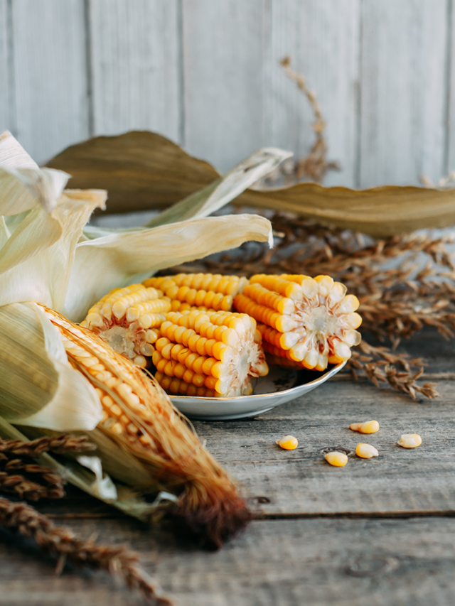 milho cozido